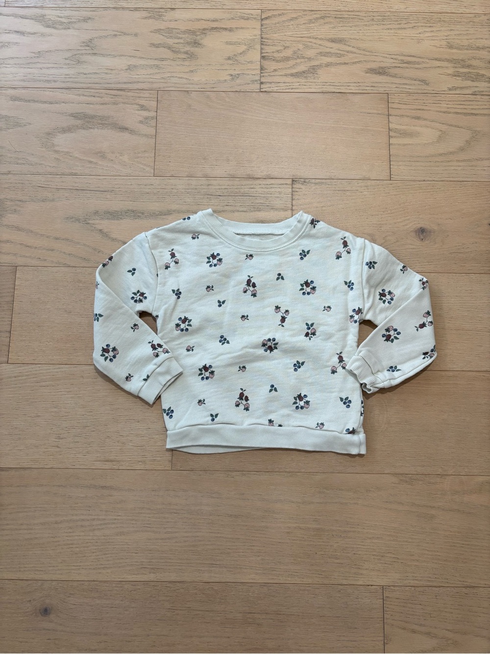 Little planet by Carter’s cream berries print sweatshirt, size 5T.